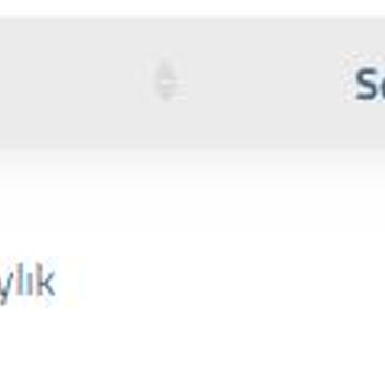 Sunucu İadesinde Uzayan Süreç Ve İlgisizlik