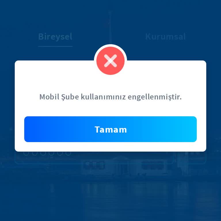 Hesap Erişim Sorunu Ve Müşteri Hizmetleri Çıkmazı