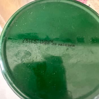 A101 Market'ten Aldığım Biber Turşusunda Arı Çıktı!