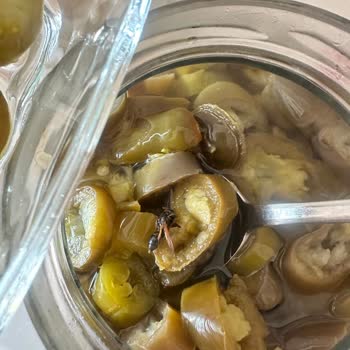 A101 Market'ten Aldığım Biber Turşusunda Arı Çıktı!