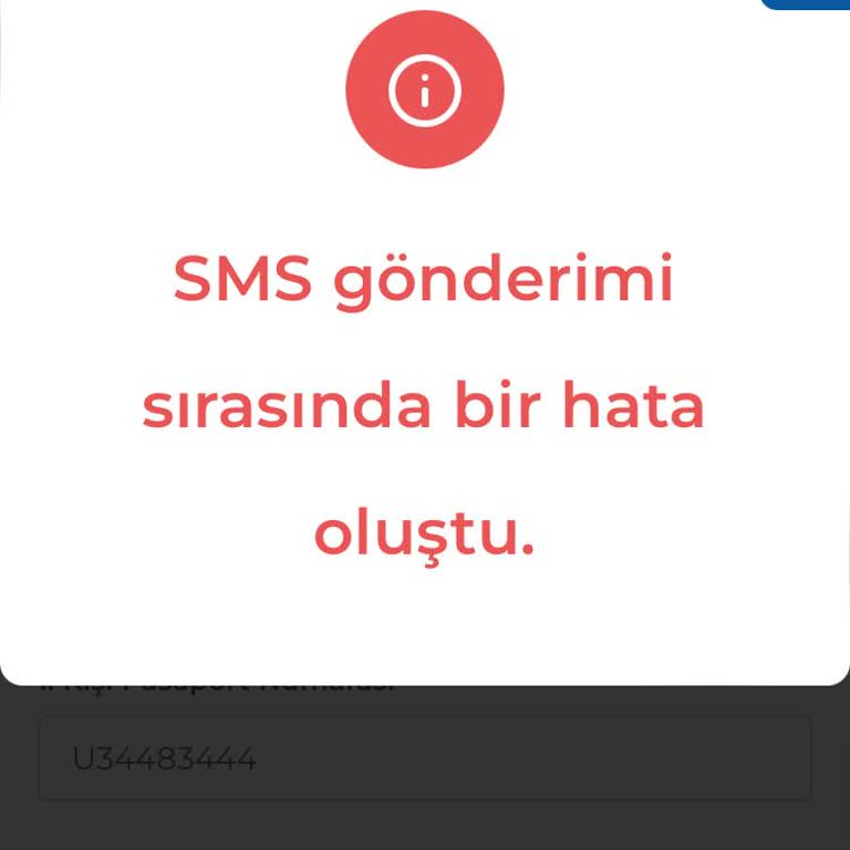 Vize Randevu Sistemindeki Sürekli Hatalar