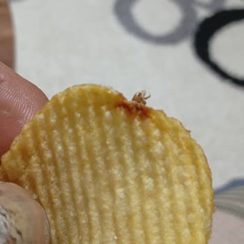 Cipsin İçinden Çıkan Şok Edici Sürpriz