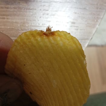 Cipsin İçinden Çıkan Şok Edici Sürpriz