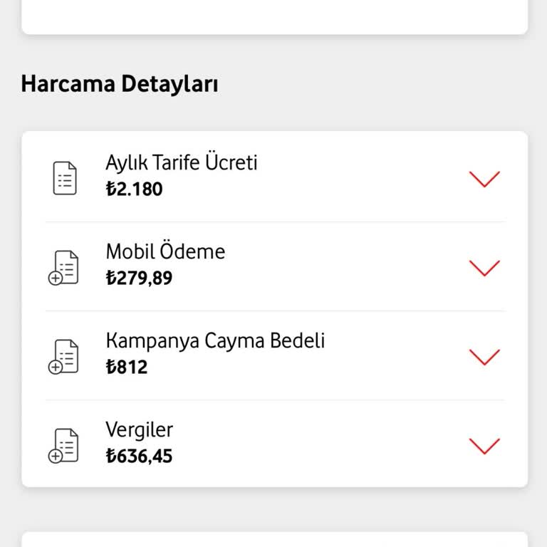 Fatura Şoku: Beklenmedik Ücretlendirme