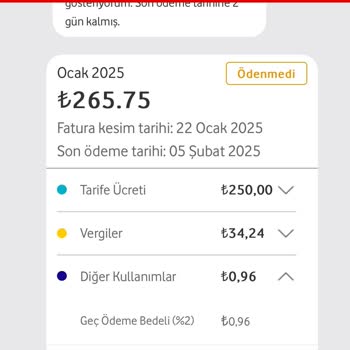 Geç Ödeme Bedeli Hatası: Vodafone Fatura Sorunu
