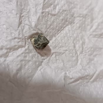 Madımak Konservesinde Taş Şoku!