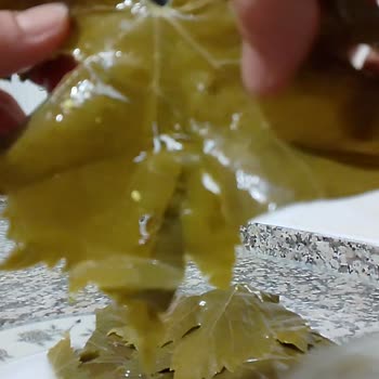 Kart Yapraklarla Dolma Deneyimim