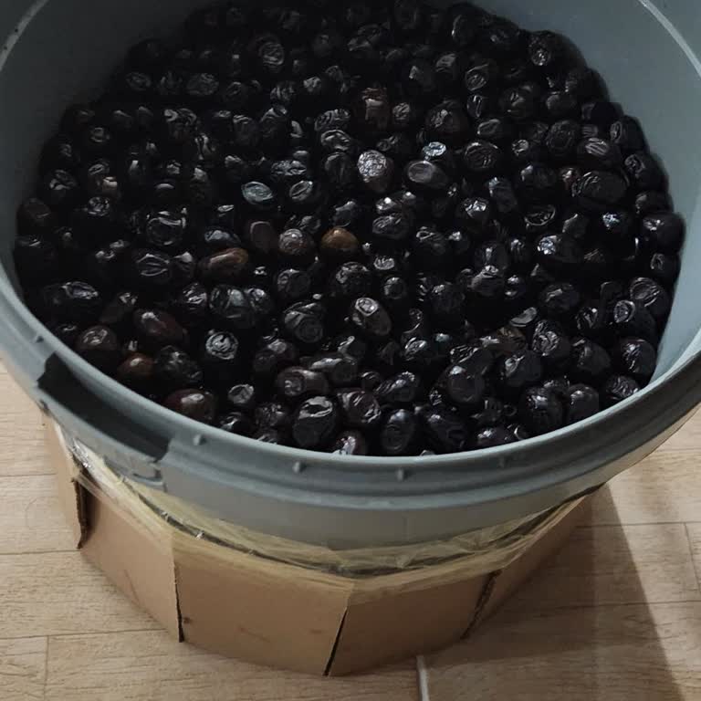 Bayırlı Zeytincilik Eksik Ürün Ve Kalitesiz Hizmet: Zararım Karşılanmıyor!