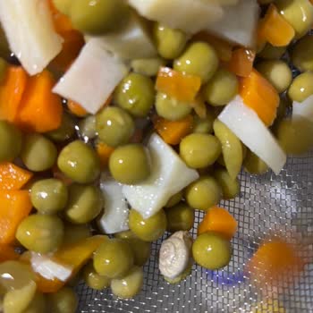 Tamek Garnitürden Çıkan Şok Edici Salyangoz