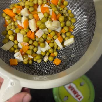 Tamek Garnitürden Çıkan Şok Edici Salyangoz