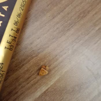 BİM Buono Çikolatadan Badem Kabukları Çıktı