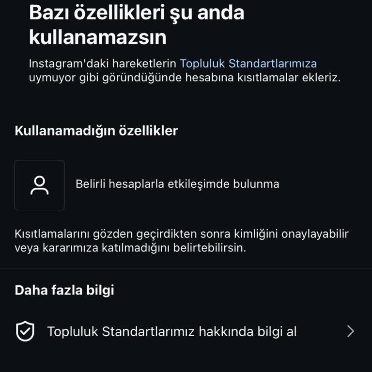 Instagram'da Arkadaş Ekleme Sorunu: Doğrulama İşe Yaramıyor!