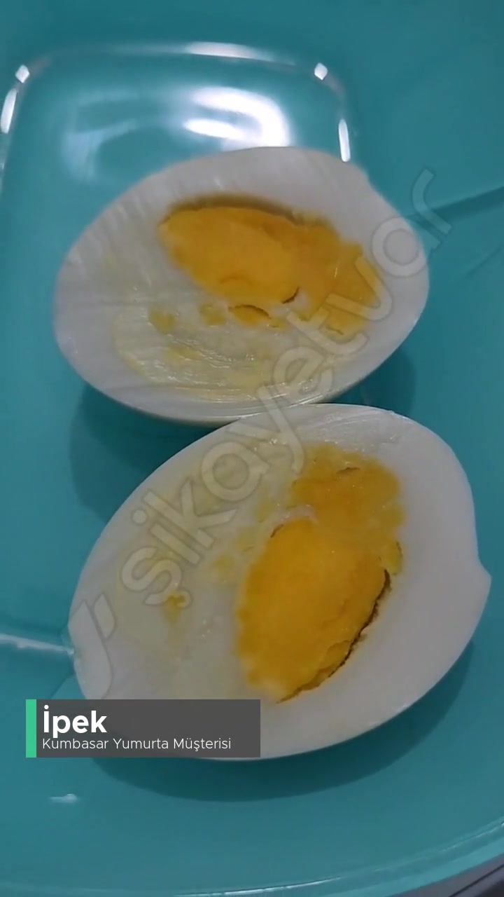 Kumbasar Yumurtaları Bozuk Çıkıyor! videonun kapak resmi