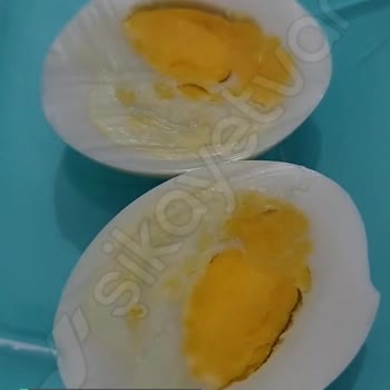 Kumbasar Yumurtaları Bozuk Çıkıyor!