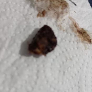 Kellogg's Coco Pops'ta Beklenmedik Sert Cisim