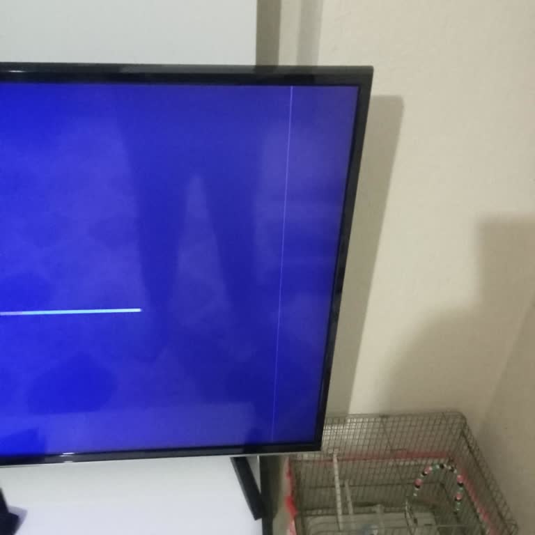 Ölü Piksel Ve Ek Garanti Sorunu