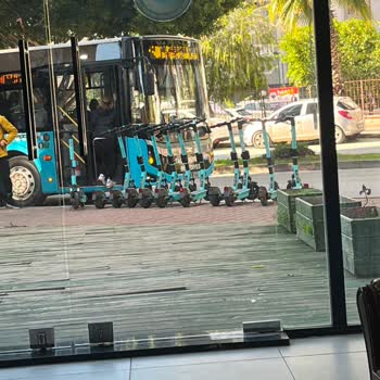 Veteriner Kliniği Önündeki Bin Bin Sorunu