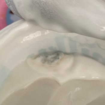 Bozuk Hindistan Cevizi Yoğurdu Mağduriyeti