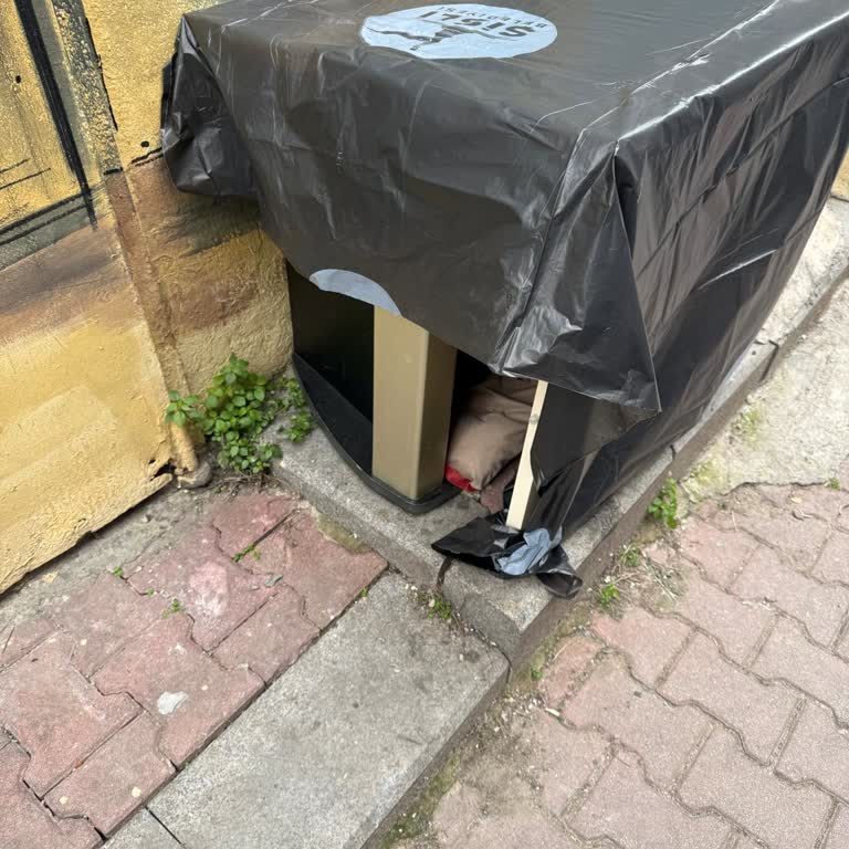 Şişli'de Sokak Hayvanları İçin Yetersiz Veteriner Hizmetleri