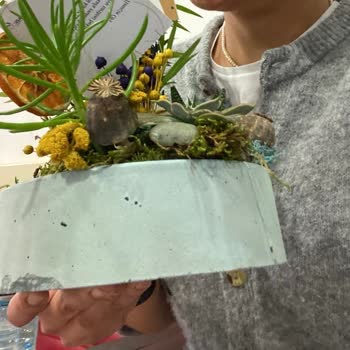 Kırık Saksı Ve Yanıltıcı Görsel Hayal Kırıklığı