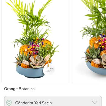 Kırık Saksı Ve Yanıltıcı Görsel Hayal Kırıklığı