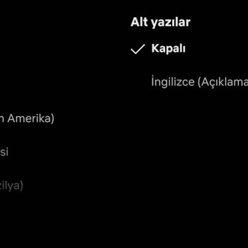 Netflix Türkçe Yayınların Gecikmesi Ve Kaldırılması Sorunu