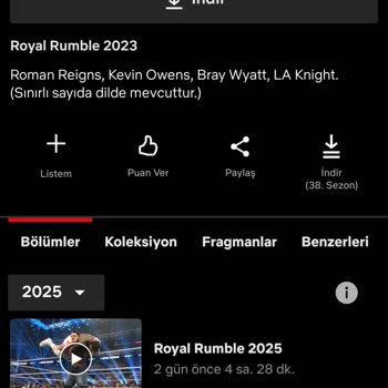 Netflix Türkçe Yayınların Gecikmesi Ve Kaldırılması Sorunu
