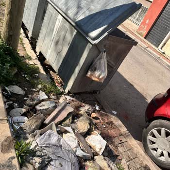 İzmir Büyükşehir Belediyesi Bakımsızlık Ve Muhtar İlgisizliği!