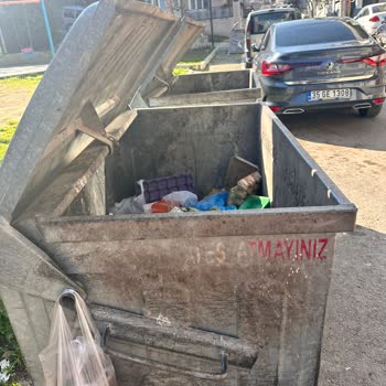 İzmir Büyükşehir Belediyesi Bakımsızlık Ve Muhtar İlgisizliği!