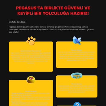 Yanlış Yönlendirme Ve İlgisizlik Nedeniyle Kaçırılan Uçuş