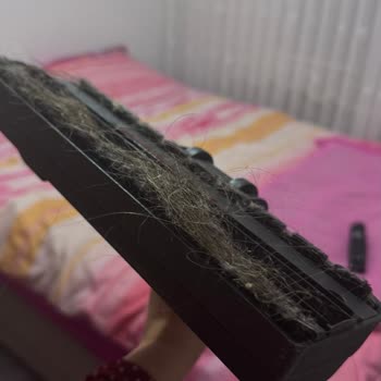 Elektrik Süpürgesi Saç Ve Tüy Problemi