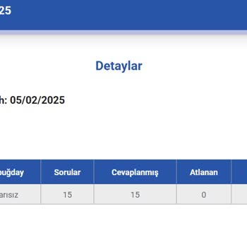 Excel Eğitiminde Hatalı Puanlama: Sorulara Eminim, Neden 66.7?