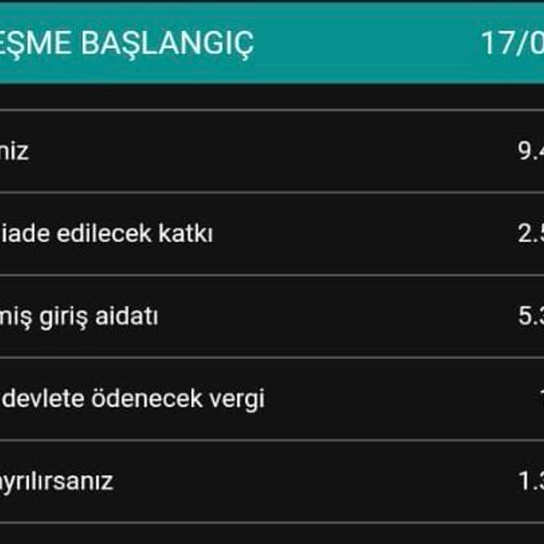 Bireysel Emeklilikte Yanıltıcı Bilgilendirme Ve Kayıp