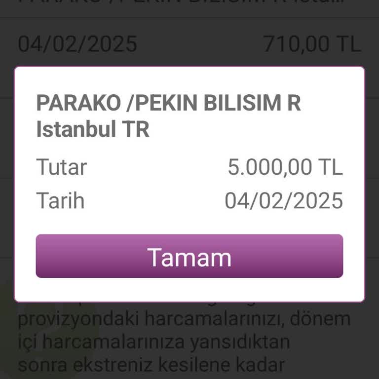 Enpara'da Provizyon İptali Sorunu: Yanıltıcı Site Mağduriyeti