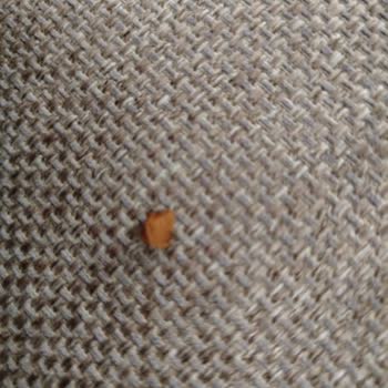 Granio Çikolata Barında Beklenmedik Sert Parça