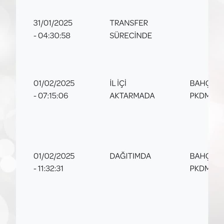 Teslim Edilemeyen Kargo Ve Yanıltıcı Bilgilendirme