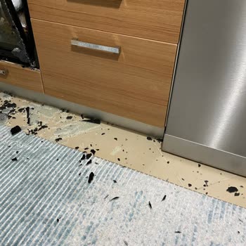 Beko Horno Empotrado, vidrio roto y problema crónico