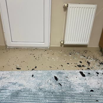 Beko Horno Empotrado, vidrio roto y problema crónico