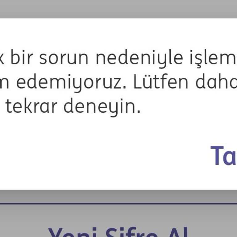 Kredi Ödemesi İçin Ulaşılamayan ING Hizmetleri