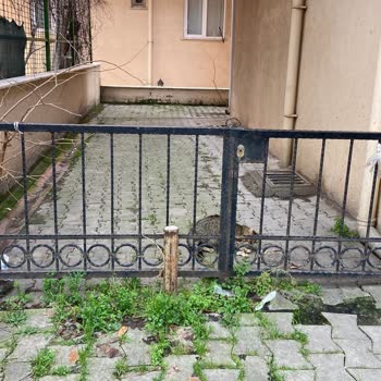 Ortak Bahçe Alanının Haksız İşgali Ve Belediyenin Yetersiz Müdahalesi