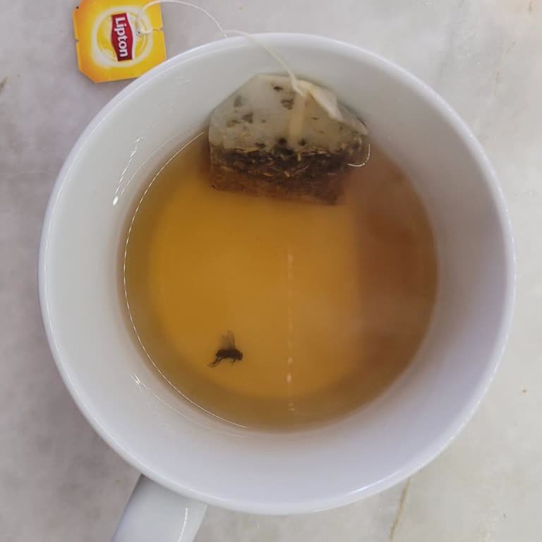 Lipton Çayında Hijyen Skandalı
