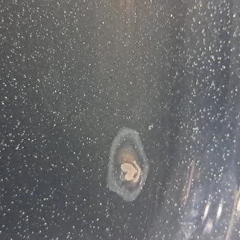 Electrolux Fırın Kurulumunda Yaşanan Mağduriyet Ve Müşteri Hizmetleri Sorunları