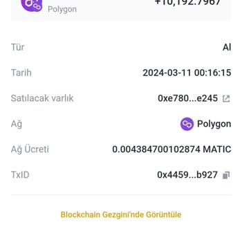 OpenSea NFT Purchase Took My MATIC, but No NFT Received