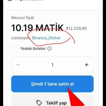 OpenSea NFT Purchase Took My MATIC, but No NFT Received