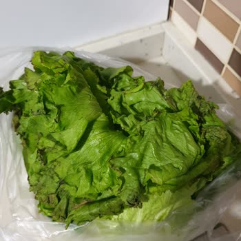 Yanlış Ürün Gönderimi Ve Kalitesiz Ürün Sorunu