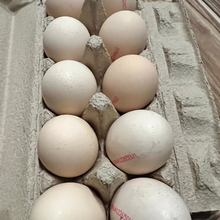 Organik Yumurtalarda Kod Eksikliği