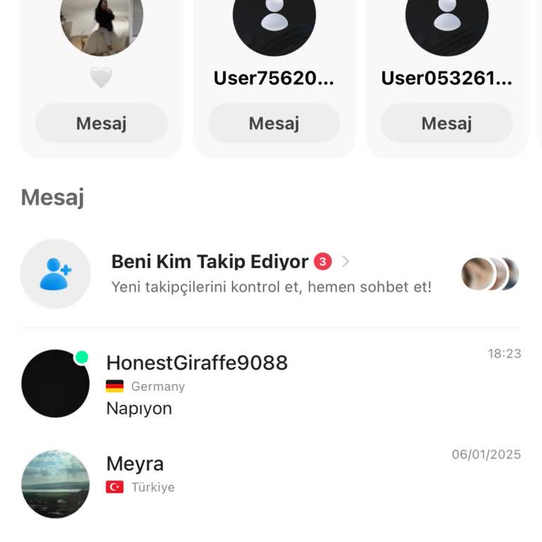 Mesaj Gönderme Sorunu Ve Çözüm Beklentisi