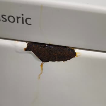 Siemens Çamaşır Makinesi Kabusum Oldu!