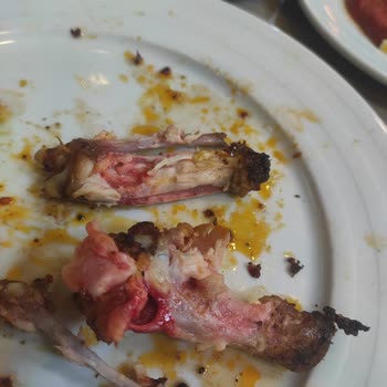 Sınırsız Kanat Deneyiminde Hayal Kırıklığı