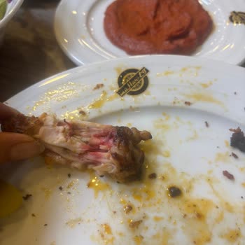 Sınırsız Kanat Deneyiminde Hayal Kırıklığı